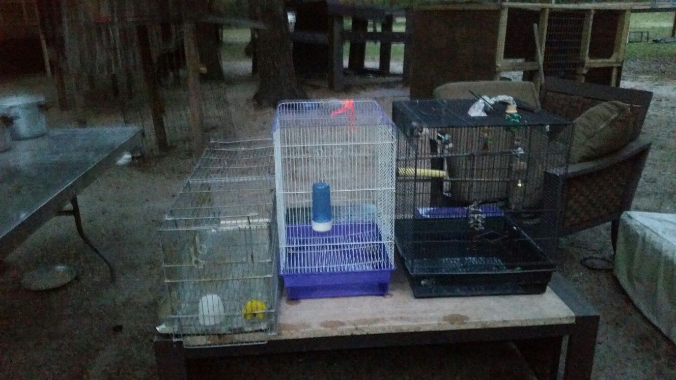 3 Bird cages$ 10 each