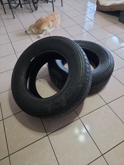 2 Firestone tires