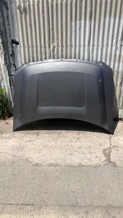 Hood para F150 