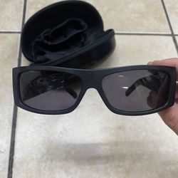 Black Flys Fly Detector Sunglasses 