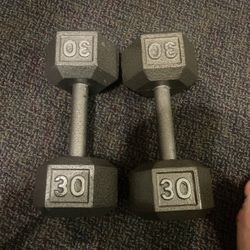 Two 30lb Dumbbells 