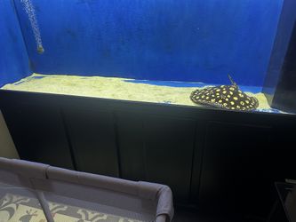 240g Acrylic Aquarium