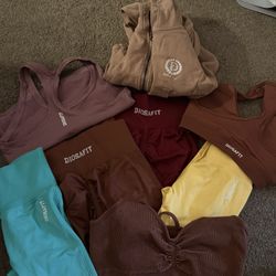 Diosa Fit  Gym Brand 