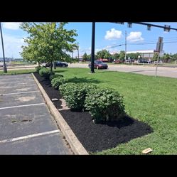 Mulch Around A Yard