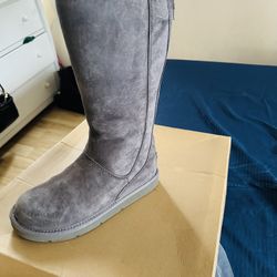 Brand New Ugg Color Grey