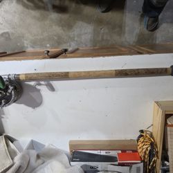 Vintage Reel And Tuna Rod