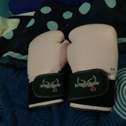 Century Kickboxing/boxing Gloves