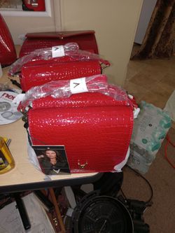 Vanessa Williams Purse