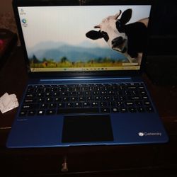 Gateway Laptop 475gb Storage 4g RAM 