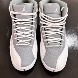 Used Jordan 12 Stealth
