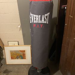 Everlast  Punching  Bag 