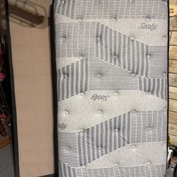 Twin Mattress And Box Spring 