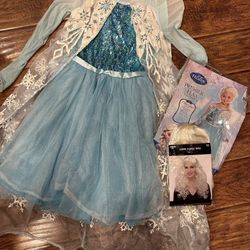 Disney Frozen Sparkly Premier Elsa Child Dress Up Large Halloween Costume