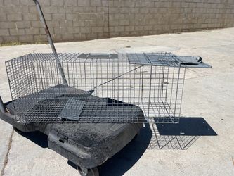 Animal Trap cage large