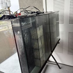 40 Gallon Fish Tank 