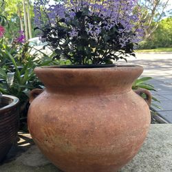 Flower pot and flower