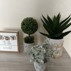 Home Decor 