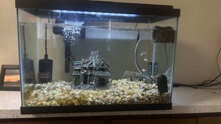 35 Gallon Tank W/ Filters And Light