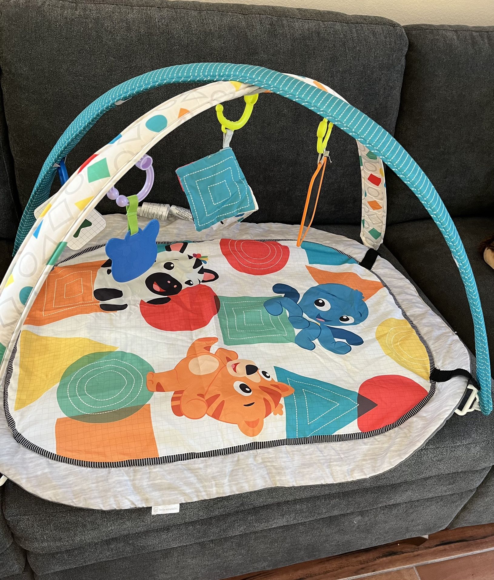 Baby Playmat