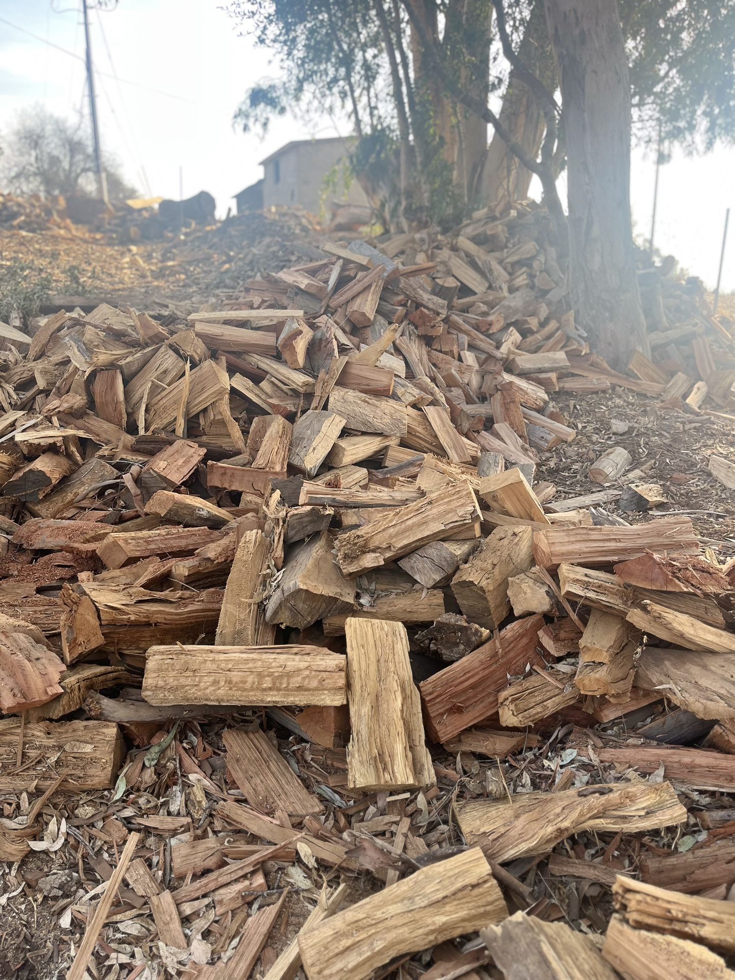 Firewood 🪵