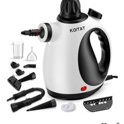 Handheld Steam Cleaner