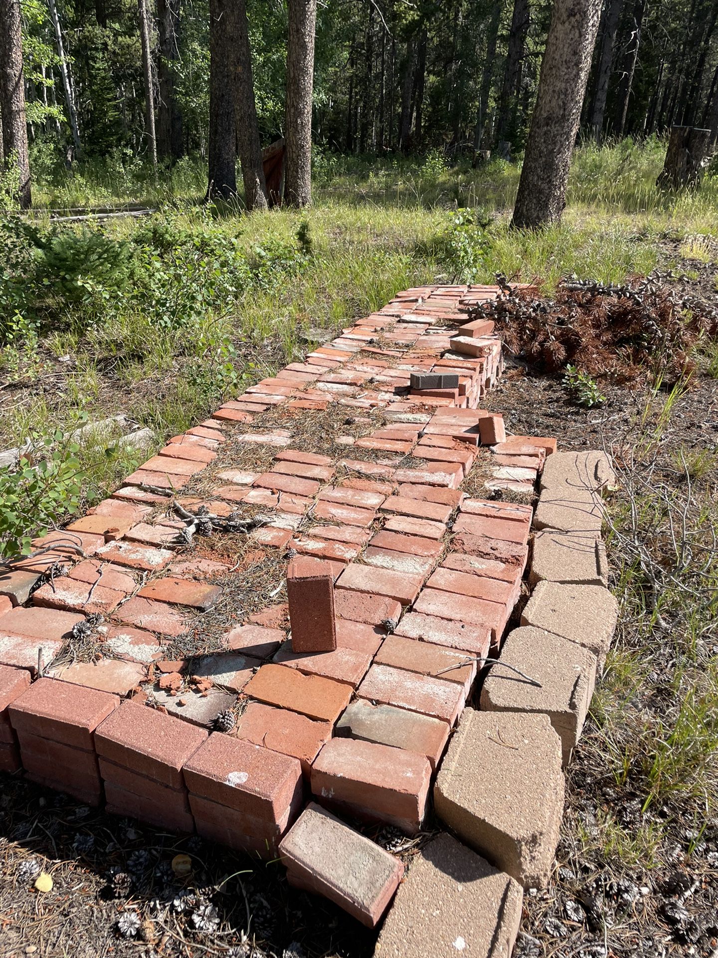 Bricks For Sale About 1000