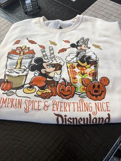 PUMPKIN SPICE AND EVERYTHING NICE DISNEY SWEATSHIRT I HAVE S M L AND XL