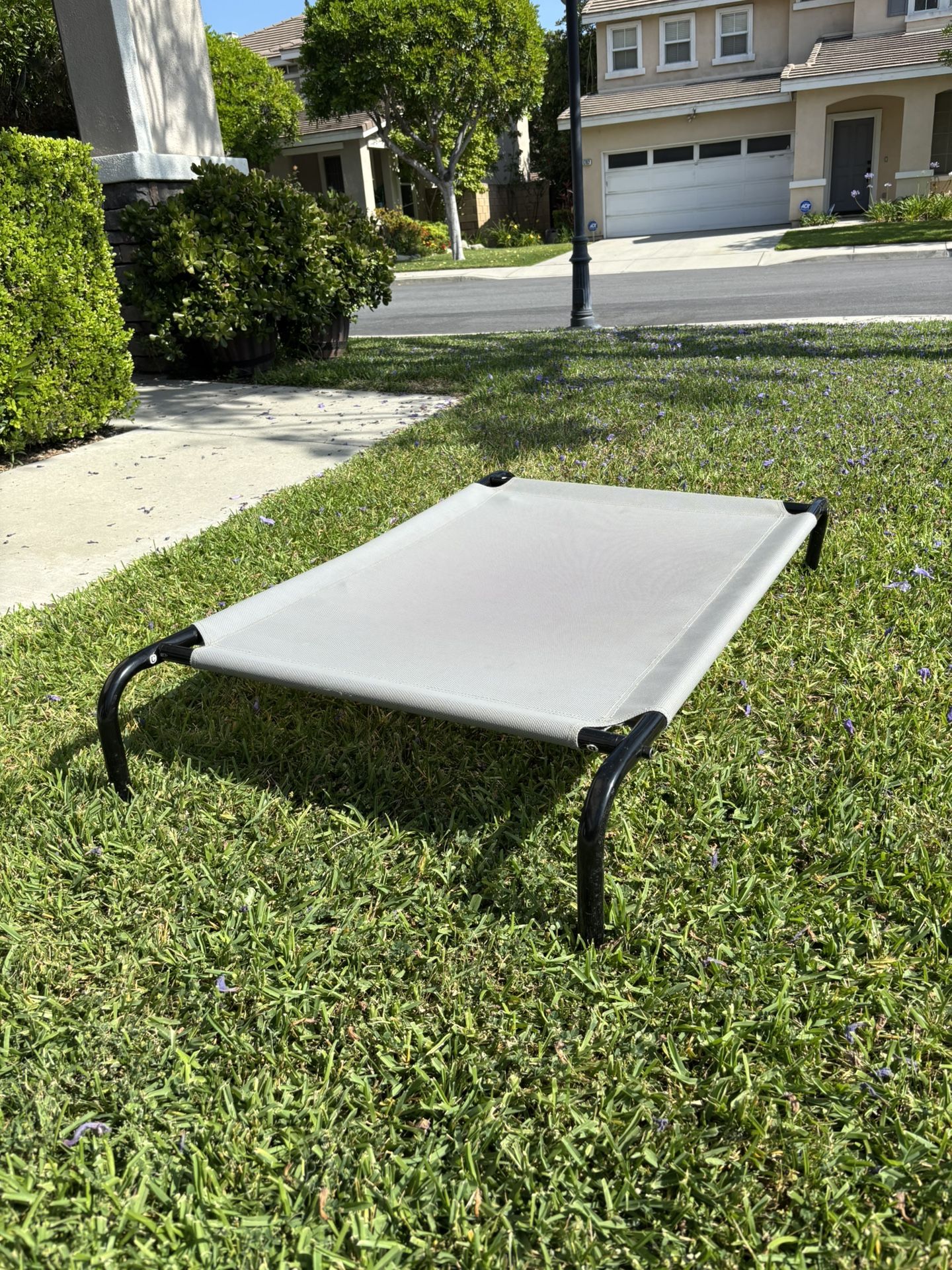 Raised Dog Bed