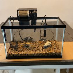 fish tank 