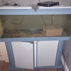 60 gallon fish tank