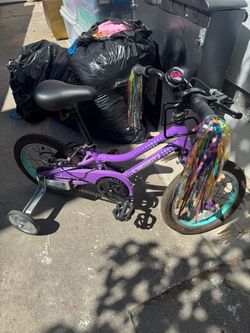 14 in guardian bike with training wheels
