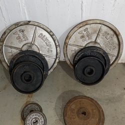Weight Plates And Bars