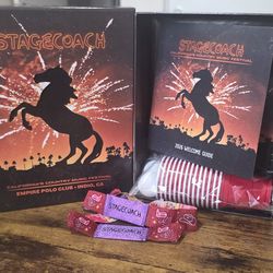 Stagecoach 2- GA Tickets