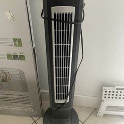 Fan 