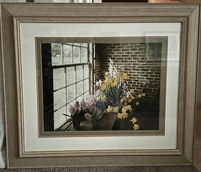 Framed Photo Art