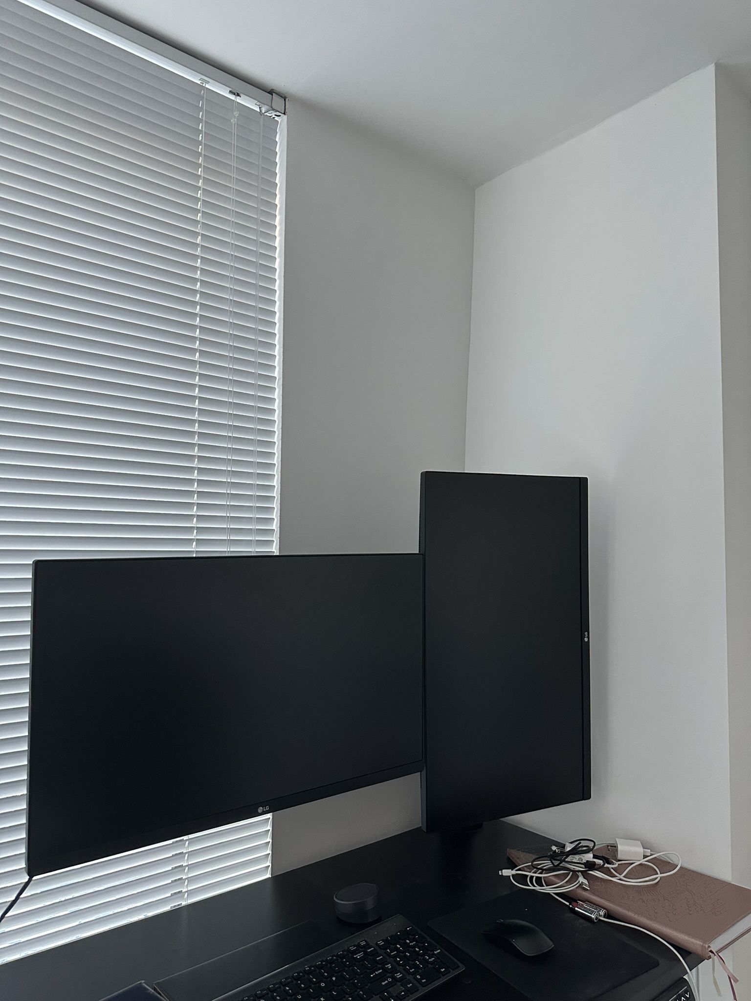 LG Monitors x2 With Ergo Stand
