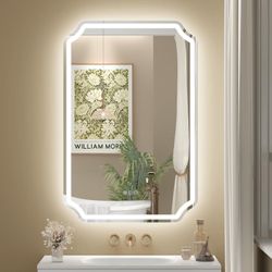 LED Lighted Bathroom Mirror, Front Light & Backlit, Touch Buttons, Dimmable, Defogger (24x36)