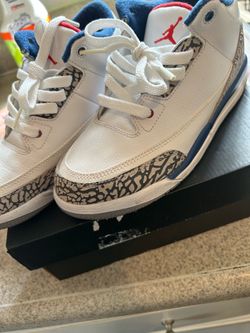 Air Jordan 3 True Blue Sneakers