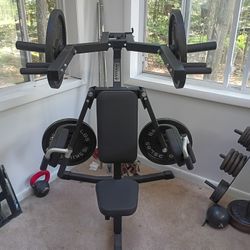 Titan Shoulder Press and Deltoid Raise