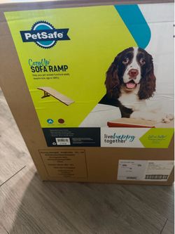 Sofa pet ramp