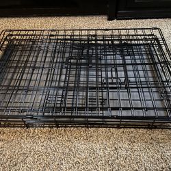 Medium Dog Create For Sale Collapsible 