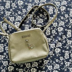 Silver Color Evening Bag