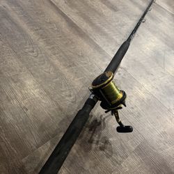 Great Deal In This Daiwa Californian Salt Water Fishing Combo. 