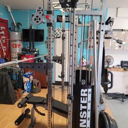 Olympic Full Size Gym Equipment 