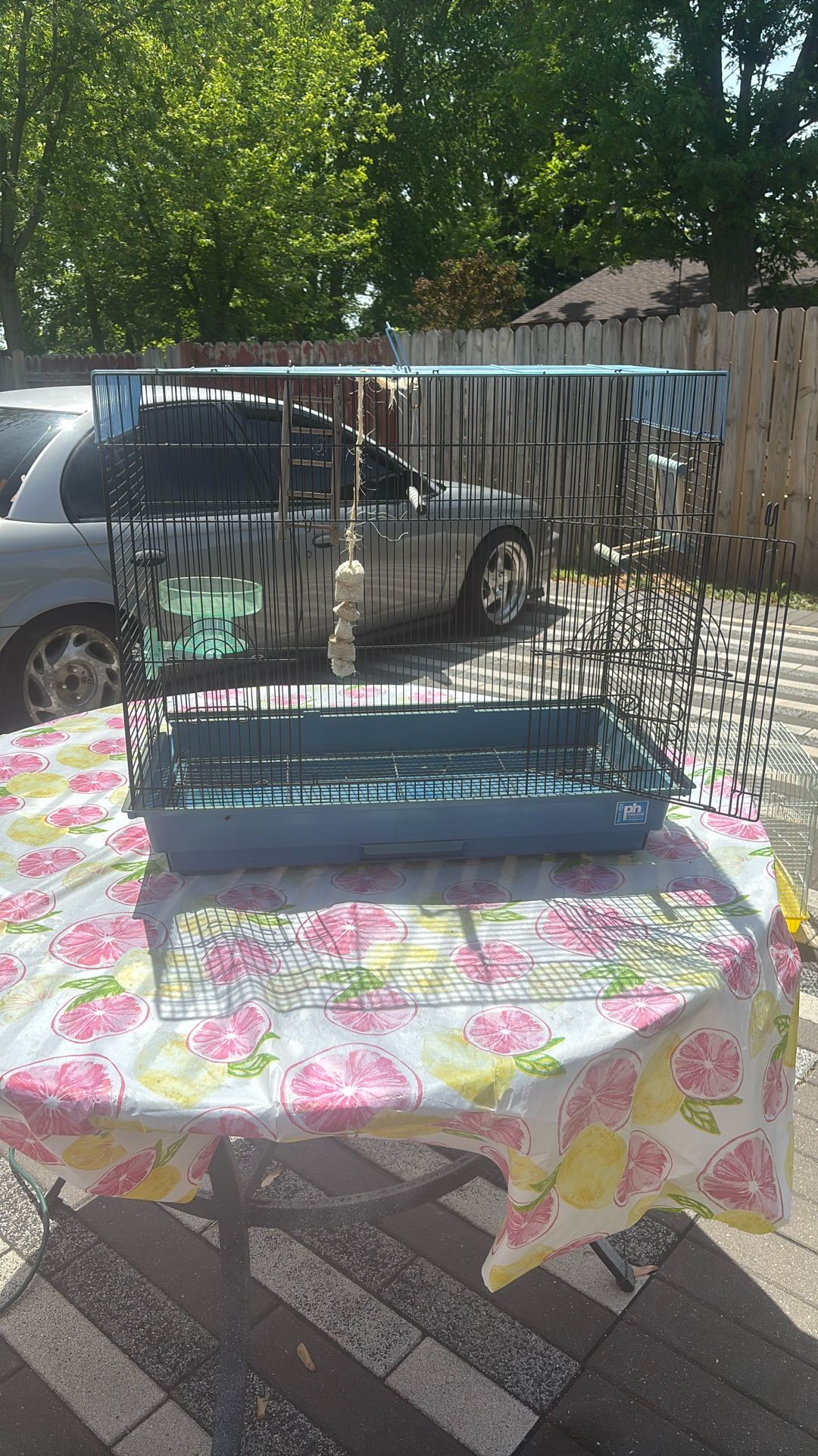 big bird cage