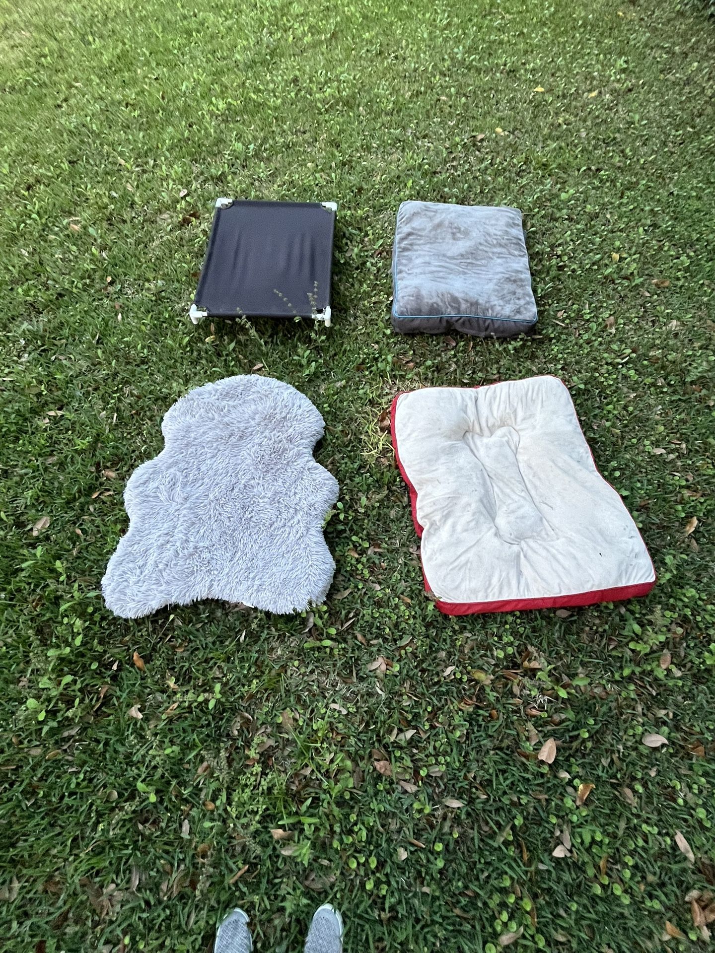 Dog Beds. $ 15 Each