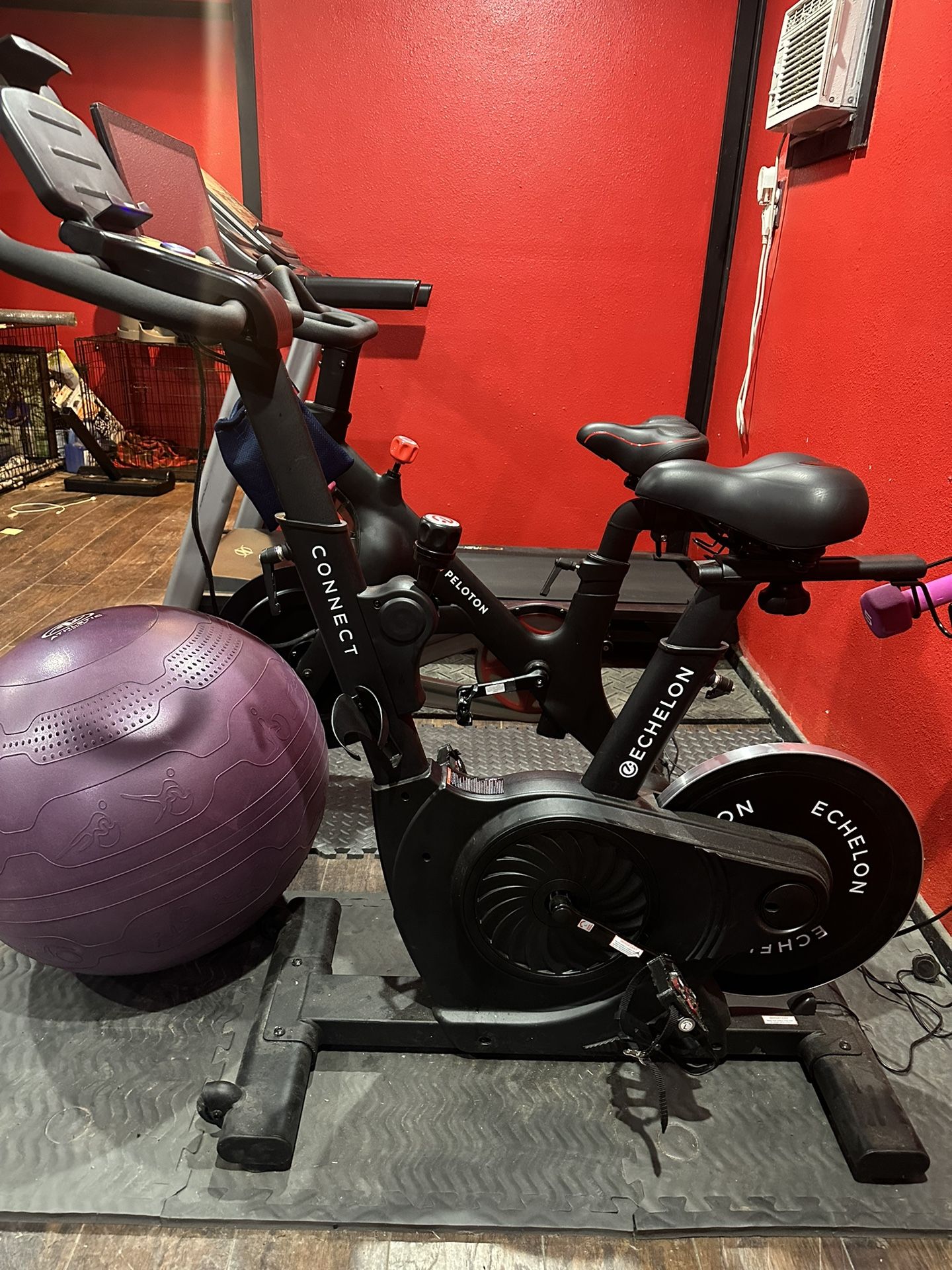 Echelon Exercise bike