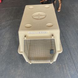 Dog Kennel