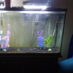 60-gallon Aquarium W Stand