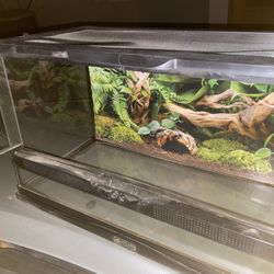 Reptile Tank